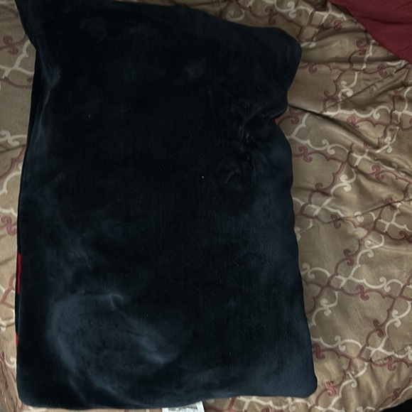 Texans pillow - Picture 2 of 3